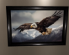 Eagle Soaring