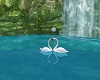 Kissing Swans V1