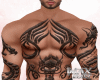Tatto Muscle V2