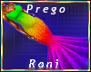 Prego Rainbow Gown