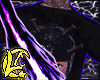 shirt printed crazy