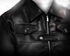 ✦ Zip