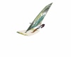 {LS} Tropical Surfboard