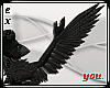 Black Feather Bird Wings