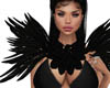 !D Raven Shoulder Feath