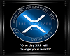 DS Xrp Coin Plaque