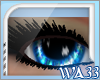 WA33 Ocean Eyes F