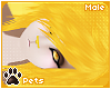 [Pets] Krit | hair v3