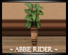 *AR* Bronze Tall Plant
