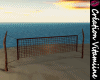 Tropic Beach Volleyball