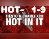 Tiesto&Charli  Hot in it