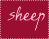 sheep-