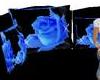 Blue Rose Couch w/poses