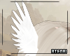 ❄ White Head Wings