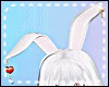 *Y* Bunny Ears - white