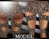 [M]Leopard leggins