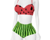 Retro Watermelon Bikini