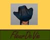 FDV Cowboy hat