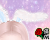 蝶 Bunny Ears v6