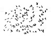 Flying Black Birds