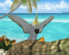 Cacatua Tropical Parrot