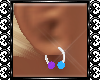  BP barbell ear (F)