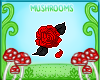 m Red Rose