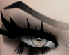 My Brows