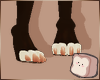 ⊹ Acorn Paws M