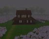 Lavender Fields Fog