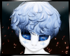 Aster Hair
