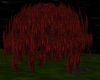 Weeping Willow Red