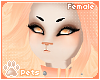 [Pets] Kinx Furry | Female v1