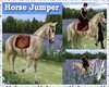 |DRB| Horse Jumper