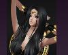 Black Gold Warrior Poses Sword Shield Long Hair Fighter