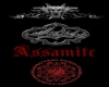 Assamite Vampire