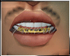 F|Bottom Gold Grill