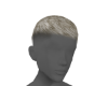 Snowy Hair