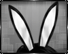 Bunny Ears Animated M