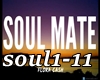 ♫C♫ Soul Mate