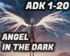 ANGEL IN THE DARK