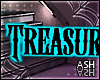 Treasurer Headsign