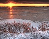 Icy Sunset Beach