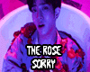 1M1 The Rose - Sorry