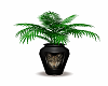 Wolf Vase Plant
