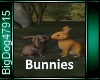 [BD]Bunnies