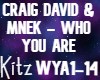 Craig David- Who You Are
