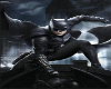 Batman Profile