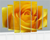 yellow rose pic