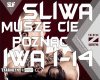 Sliwa - Musze Cie Poznac